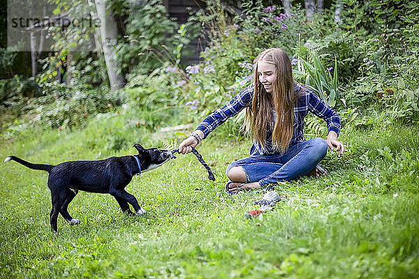 Mädchen spielt mit ihrem Hund; Salmon Arm  British Columbia  Kanada
