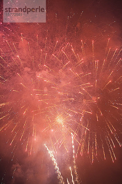 Blick auf ein Feuerwerk  das am Himmel glitzert.