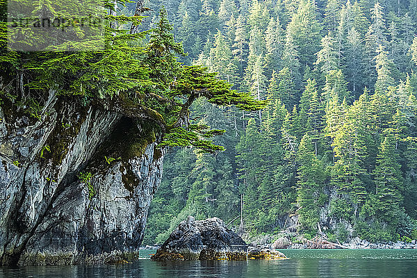 Schöne Landschaft des Prince William Sound in der Abenddämmerung; Whittier  Alaska  Vereinigte Staaten von Amerika