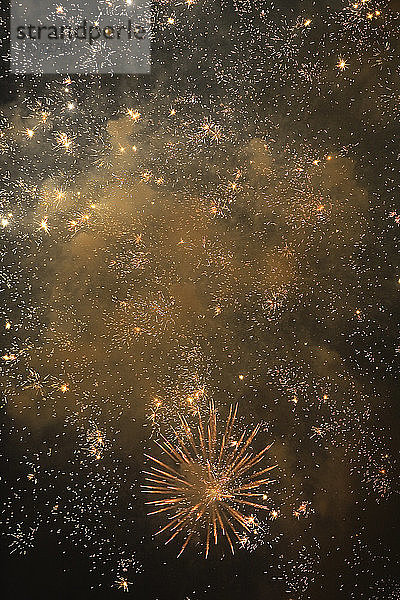 Blick auf ein Feuerwerk  das am Himmel glitzert.