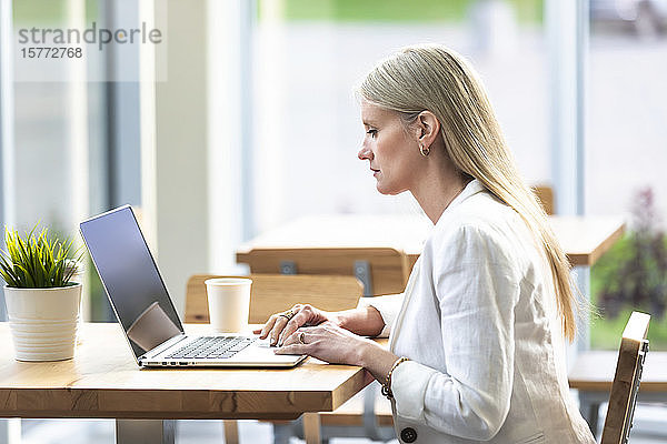 Eine berufstätige Geschäftsfrau  die in einem Café an einem Computer arbeitet: Edmonton  Alberta  Kanada