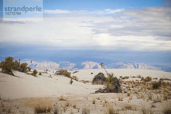 San Andres Mountains vom White Sands National Monument aus gesehen; Alamogordo  New Mexico  Vereinigte Staaten von Amerika