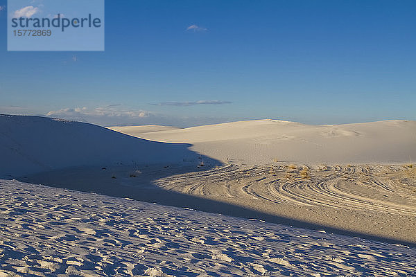 Gipsdünen  White Sands National Monument; Alamogordo  New Mexico  Vereinigte Staaten von Amerika