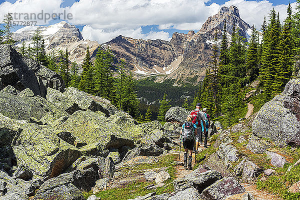 Wanderer auf einem felsigen Bergpfad mit Bergkette in der Ferne  Yoho National Park; Field  British Columbia  Kanada