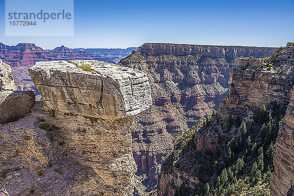 Blick auf den Grand Canyon vom South Rim Trail in der Nähe von Mather Point; Arizona  Vereinigte Staaten von Amerika