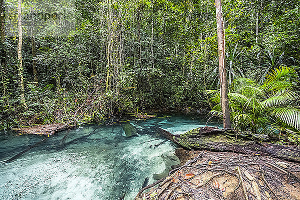 Kali Biru (Blauer Fluss); West Papua  Indonesien