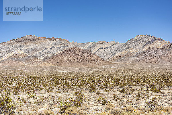 Ein Beispiel für die erstaunliche und faszinierende Berggeologie in der zentralen Wüste Nevadas; Nevada  Vereinigte Staaten von Amerika