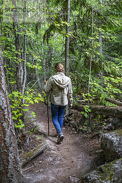 Mädchen im Vorschulalter  das auf einem Pfad in einem üppigen Wald spazieren geht; Salmon Arm  British Columbia  Kanada