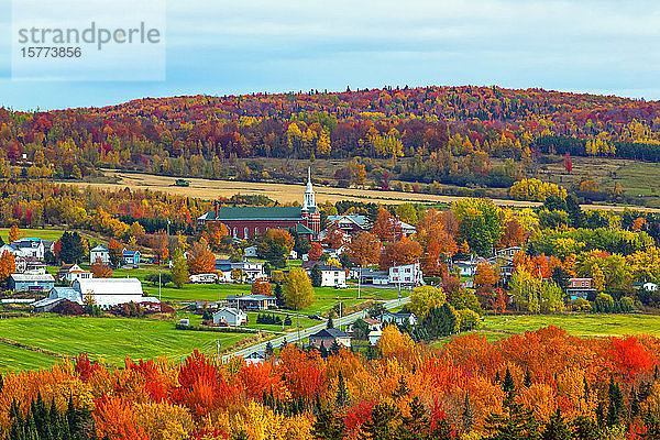 Herbstfarbenes Laub in der Gemeinde Saint-Isidore-de-Clifton; Saint-Isidore-de-Clifton  Quebec  Kanada