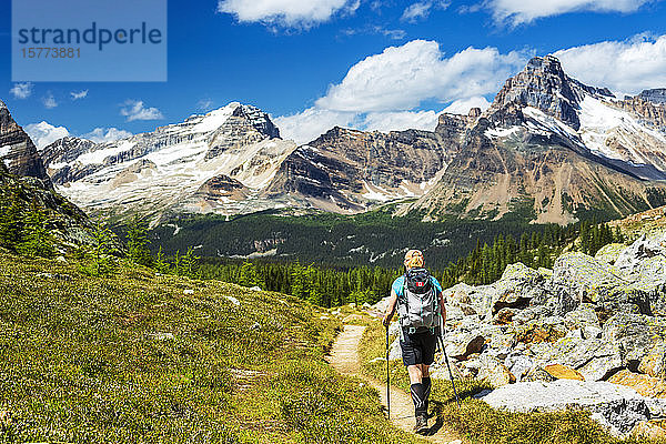 Wanderin auf einem Bergpfad mit schneebedeckter Bergkette in der Ferne und blauem Himmel und Wolken  Yoho National Park; Field  British Columbia  Kanada