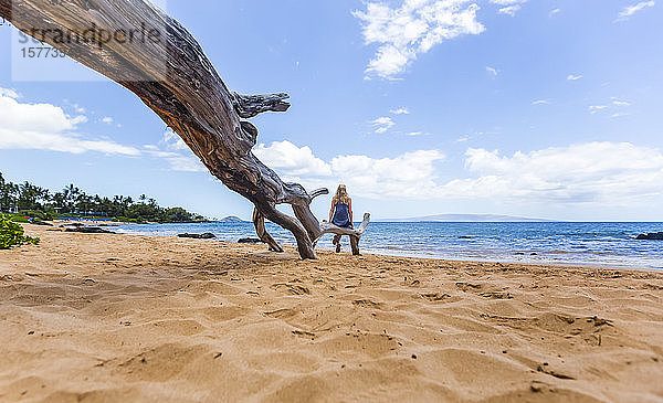 Eine Frau sitzt auf einem Baumstamm und beobachtet das Meer am Strand; Maui  Hawaii  Vereinigte Staaten von Amerika