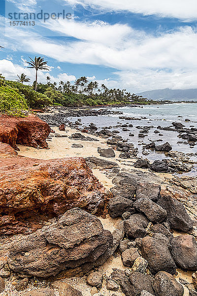 Ein zerklüfteter  farbenfroher Strand und tropischer Wald mit vulkanischen Felsen vor dem pazifischen Ozean; Maui  Hawaii  Vereinigte Staaten von Amerika