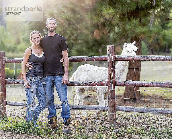 Porträt eines Bauern und seiner Frau mit einem Lama (Lama glama) im Hintergrund; Armstrong  British Columbia  Kanada