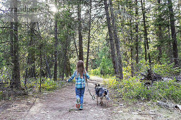 Junges Mädchen geht mit ihrem Hund einen Waldweg entlang; British Columbia  Kanada