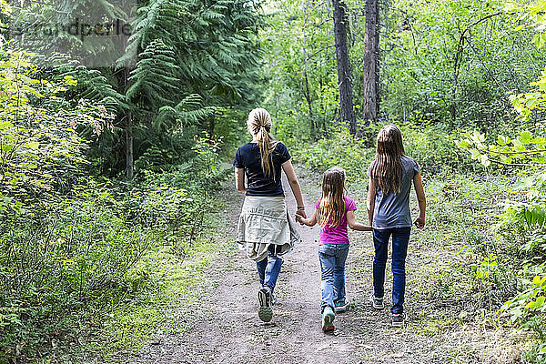 Drei Schwestern halten sich an den Händen und gehen auf einem Waldweg; British Columbia  Kanada