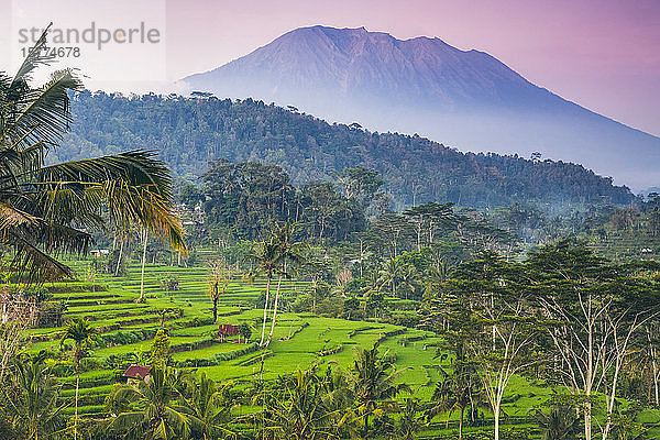 Sonnenuntergang in den Reisterrassen von Sideman; Bali  Indonesien