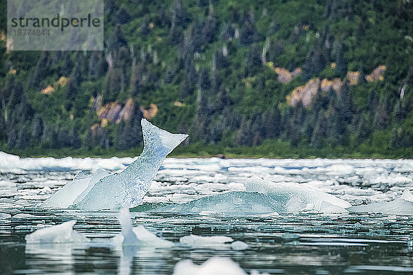 Treibende Eisberge im Prince William Sound  Alaska. Dieser hier sieht aus wie ein Fischschwanz; Alaska  Vereinigte Staaten von Amerika