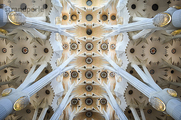 Niedrigwinkel-Innenansicht des Gewölbes  Sagrada Familia  Barcelona  Katalonien  Spanien.