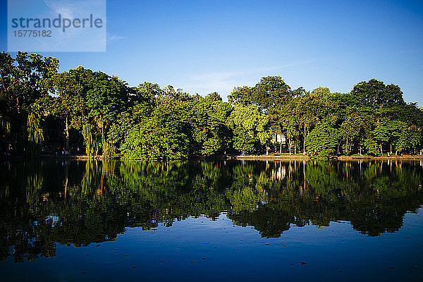 Bäume und blauer Himmel spiegeln sich auf einem See.