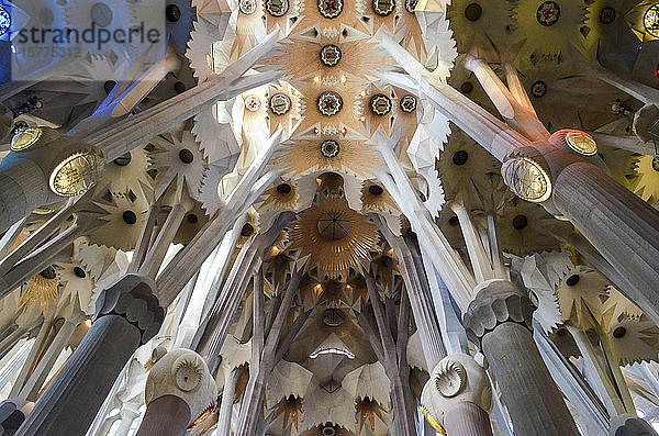 Niedrigwinkel-Innenansicht des Gewölbes  Sagrada Familia  Barcelona  Katalonien  Spanien.