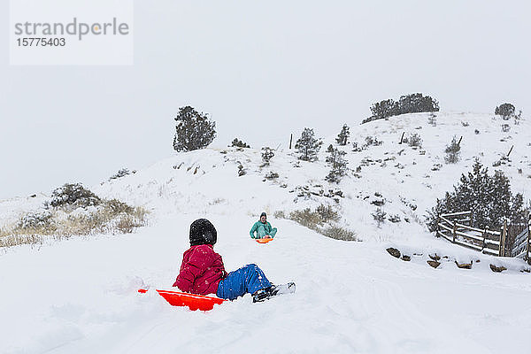 Ein Junge und ein Mädchen rodeln im Schnee den Berg hinunter