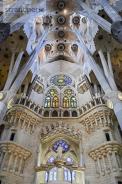 Niedrigwinkel-Innenansicht des Gewölbes  Sagrada Familia  Barcelona  Katalonien  Spanien.
