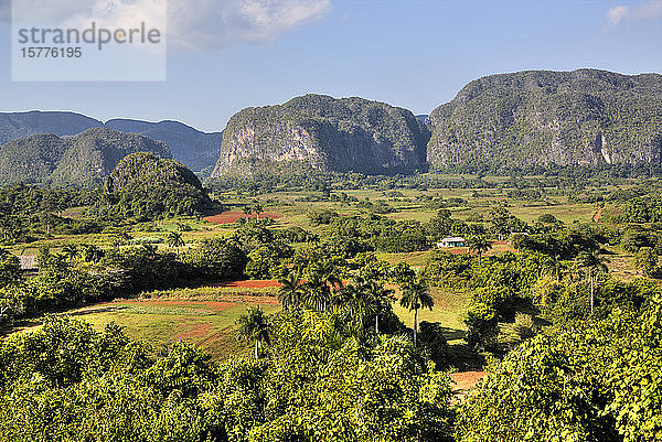 Vinales-Tal  UNESCO-Welterbe  Kuba  Westindische Inseln  Karibik  Mittelamerika