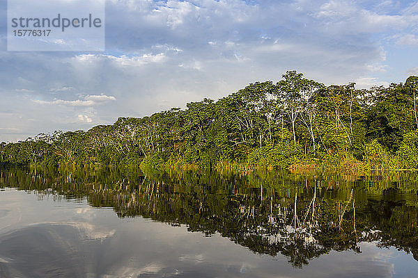 Spiegelungen am Flussufer des Yanayacu-Sees  Rio Pacaya  Pacaya-Samiria-Reservat  Peru  Südamerika