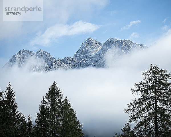 Detail der Berggipfel  Vrsic-Pass  Julische Alpen  Triglav-Nationalpark  Oberkrain  Slowenien  Europa