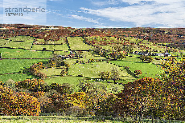 Herbstsonnenlicht über grünen Feldern und Laubwäldern in Farndale  The North Yorkshire Moors  Yorkshire  England  Vereinigtes Königreich  Europa