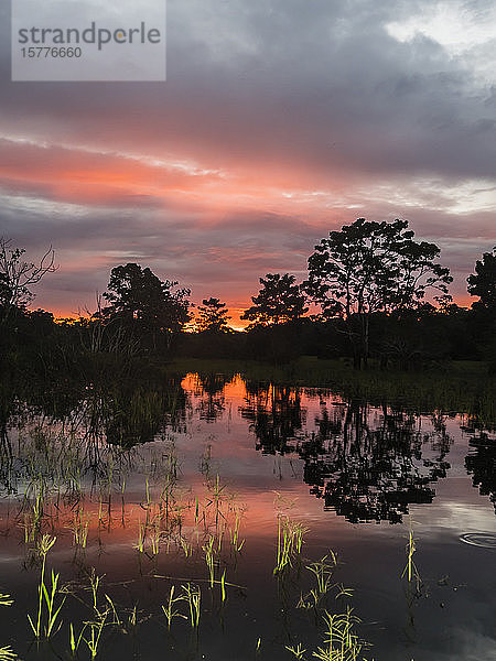 Sonnenuntergang am Rio El Dorado  Pacaya-Samiria Reservat  Loreto  Peru  Südamerika