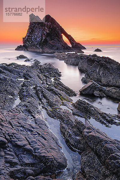 Bow Fiddle Rock  Moray Firth  Moray  Schottland  Vereinigtes Königreich  Europa