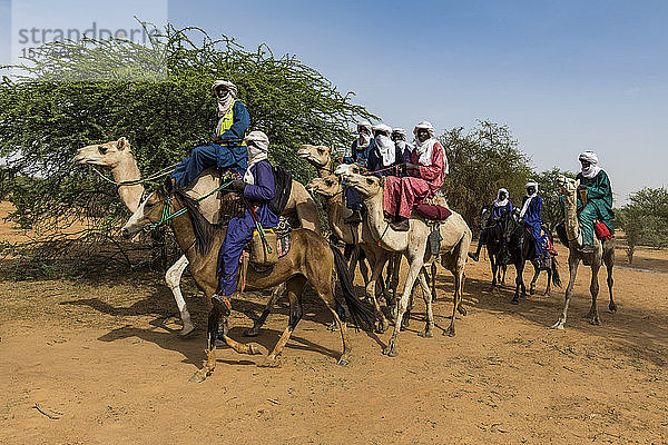 Tuareg auf ihren Kamelen  Gerewol-Fest  Balzritual bei den Wodaabe Fula  Niger  Westafrika  Afrika