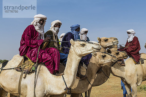 Tuaregs auf Kamelen  Gerewol-Fest  ritueller Balzwettbewerb beim Volk der Wodaabe Fula  Niger  Westafrika  Afrika