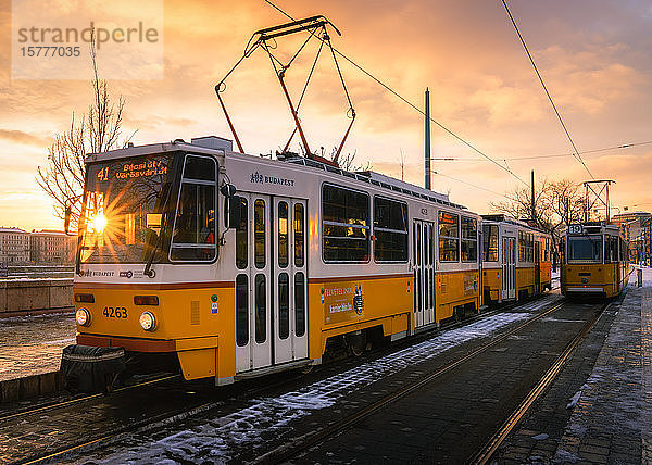 Budapester Straßenbahn bei Sonnenaufgang  Budapest  Ungarn  Europa