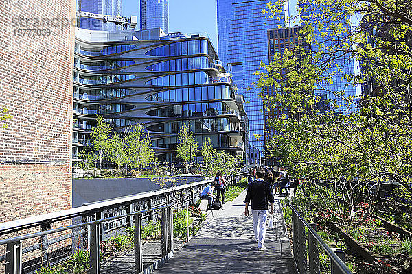High Line Park  Manhattan  New York City  New York  Vereinigte Staaten von Amerika  Nordamerika