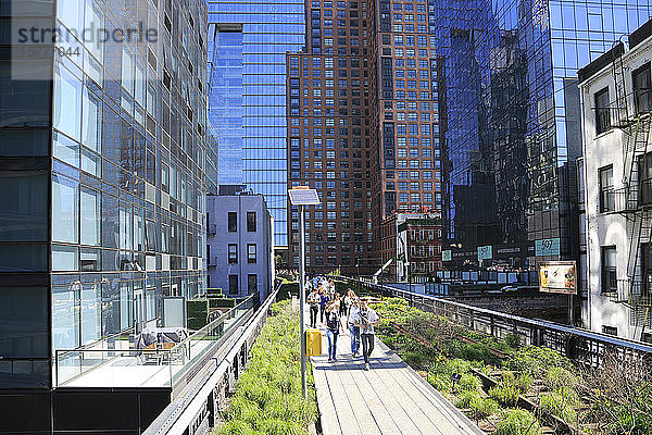 High Line Park  Manhattan  New York City  New York  Vereinigte Staaten von Amerika  Nordamerika