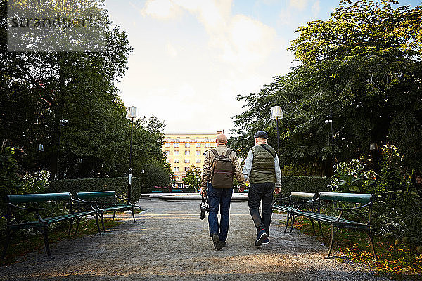 Rückansicht eines älteren schwulen Paares  das sich beim Spaziergang im Stadtpark an der Hand hält