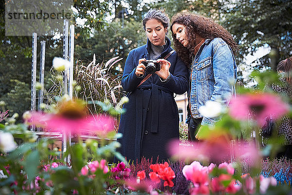 Lesbisches Paar fotografiert Blumen mit der Kamera  während es im Park steht