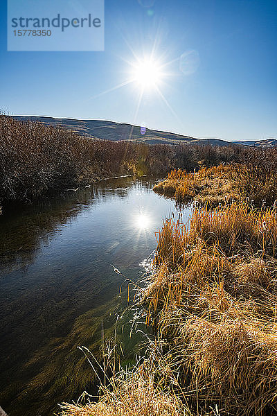 Fluss an Herbstbäumen