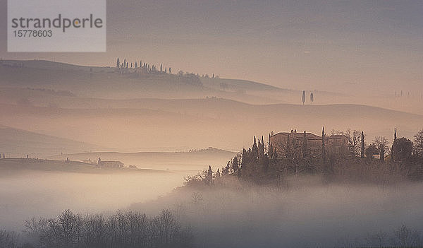 Bäume auf Hügeln bei Sonnenuntergang in der Toskana  Italien