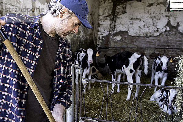Milchviehhalter räumt Viehstall aus