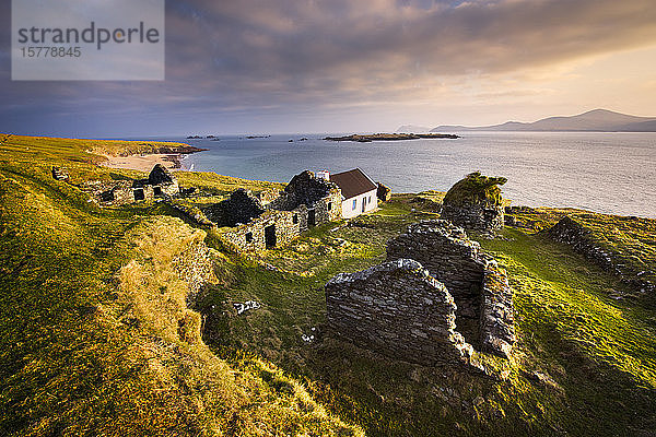 Ruinen eines Dorfes auf Great Blasket Island  Dingle  Kerry  Irland