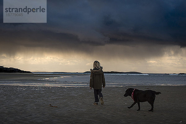 Junge  der mit seinem Haushund am Strand spazieren geht und den dramatisch stürmischen Himmel betrachtet  Rückansicht  Lahinch  Clare  Irland