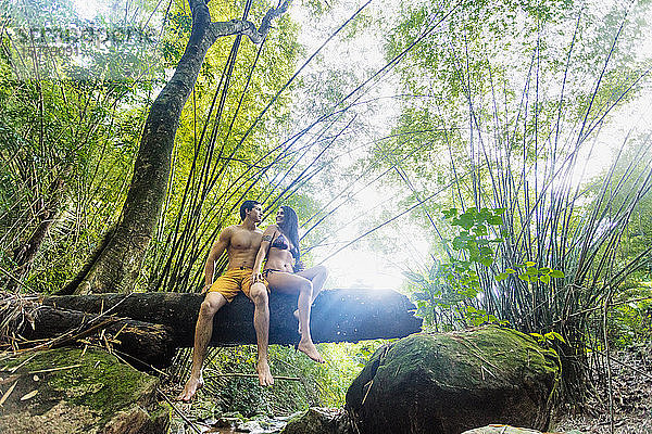 Paar am Baumstamm über einem Bach im Regenwald  Guaiuba  Ceara  Brasilien
