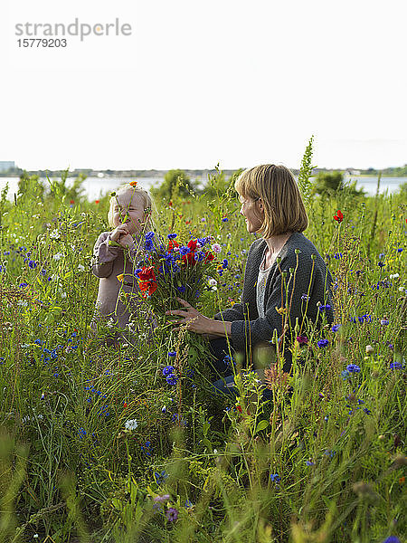 Mutter und Tochter im Wildblumenfeld am See  Kopenhagen  Hovedstaden  Dänemark