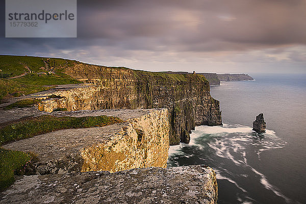 Klippen von Moher  Doolin  Clare  Irland