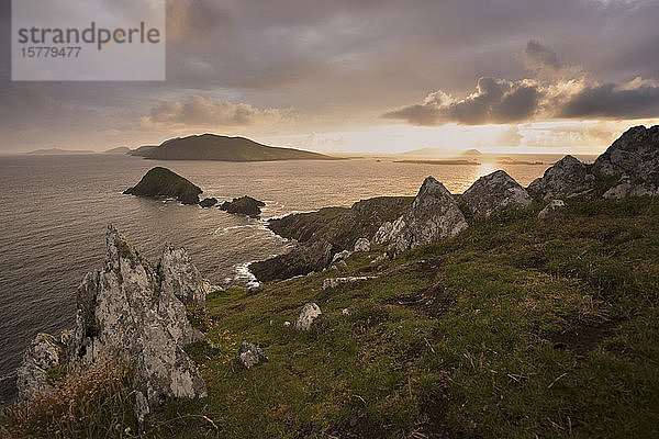 Dunmore Head und Blasket Islands  Dingle  Kerry  Irland