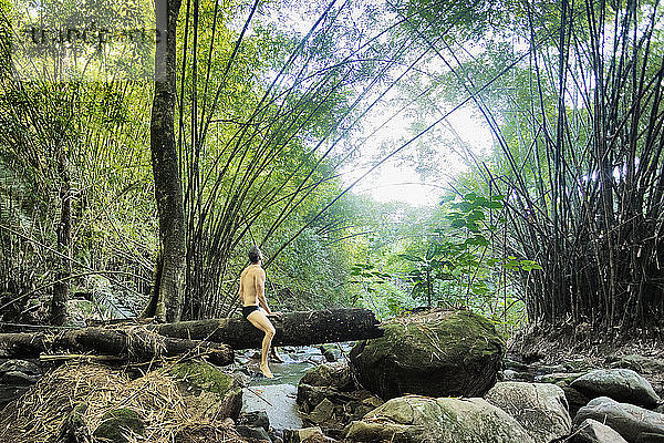 Mann auf Baumstamm über einem Bach im Regenwald  Guaiuba  Ceara  Brasilien