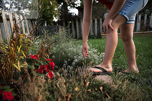 Mädchen greift im Garten nach der Blume